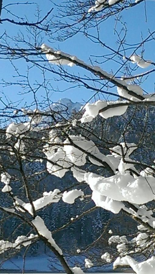 Fw Weissensee 44 Füssen Εξωτερικό φωτογραφία