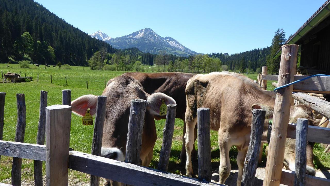 Fw Weissensee 44 Füssen Εξωτερικό φωτογραφία