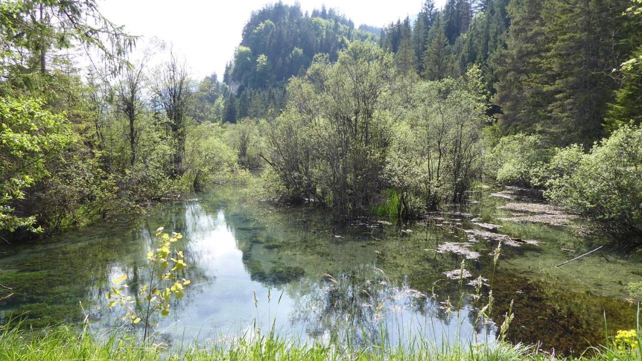 Fw Weissensee 44 Füssen Εξωτερικό φωτογραφία