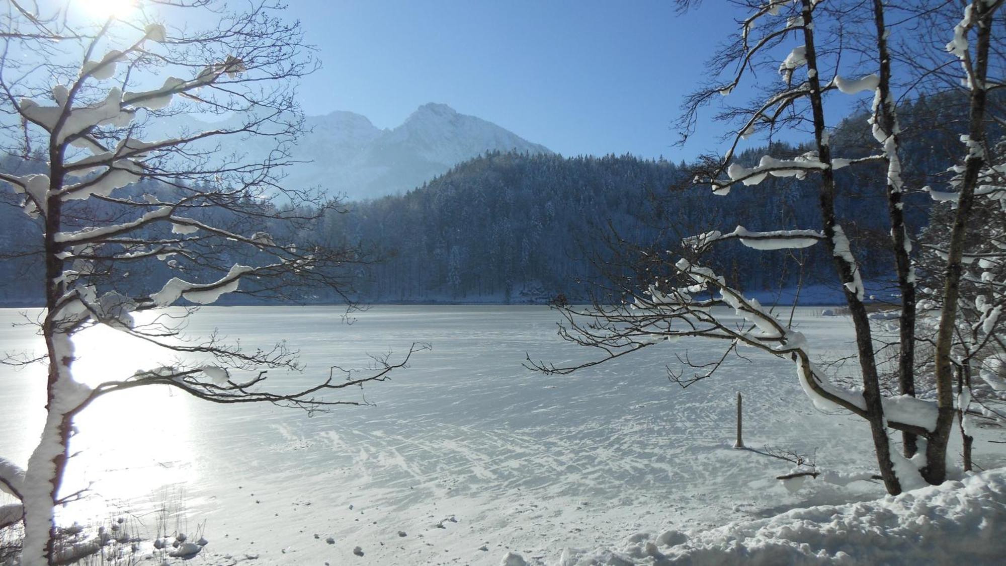 Fw Weissensee 44 Füssen Εξωτερικό φωτογραφία