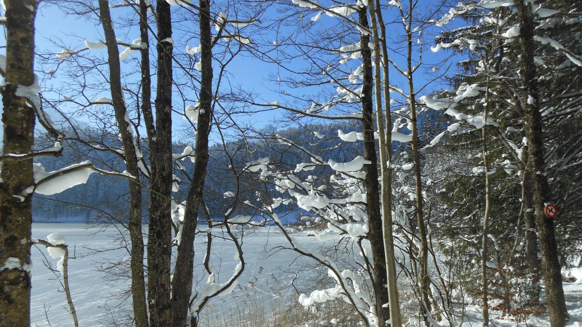 Fw Weissensee 44 Füssen Εξωτερικό φωτογραφία